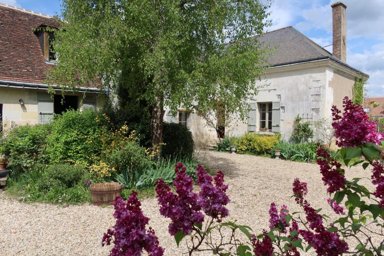 Pres Des Chateaux De La Loire Et Du Zoo De Beauval Cere-la-Ronde Exterior photo